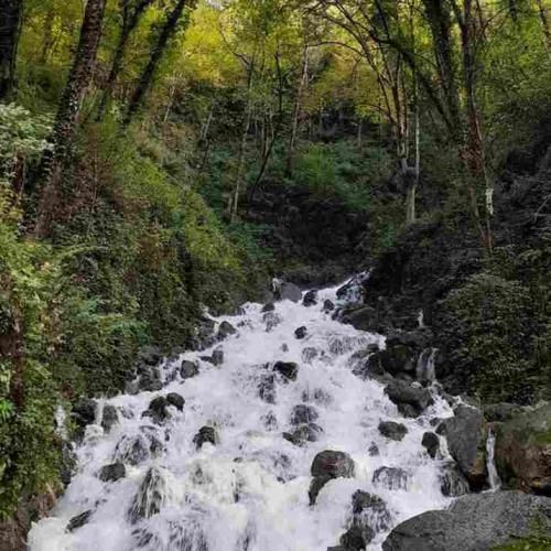  دنبال حوریا تو ویلا بودیم